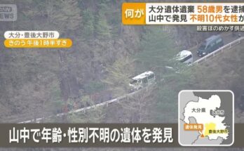 900188249 img 4c6a63fb7b79d03d55f7102b3be772f6120330