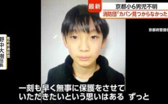 jpeg optimizer 1000031272