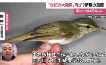 jpeg optimizer 1000031457