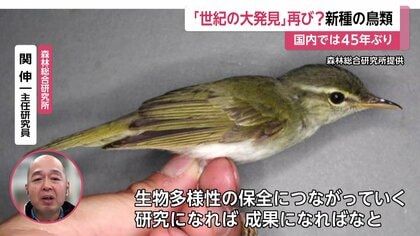 jpeg optimizer 1000031457